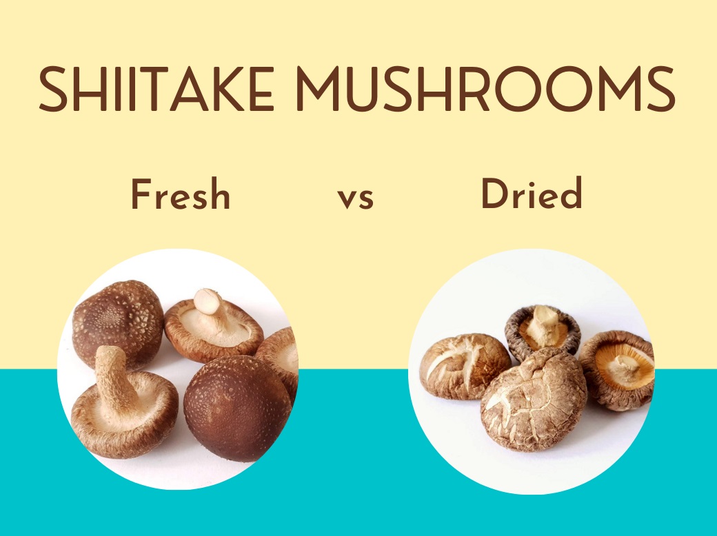 Shiitake Mushrooms -Fresh or Dried? - CHOPSTICK THERAPY